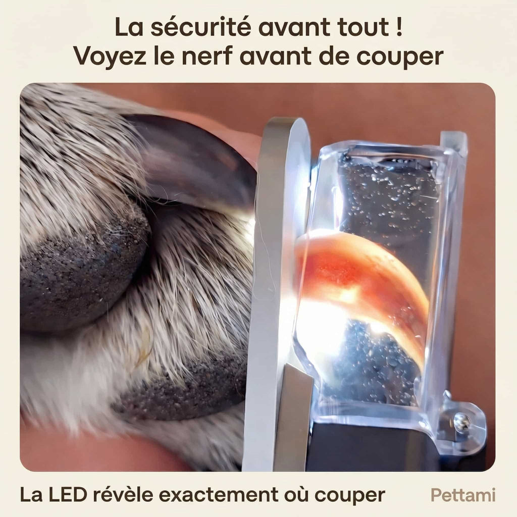 LunaCoupe™ Pro — Coupez les griffes sans stress, sans risquer de le blesser